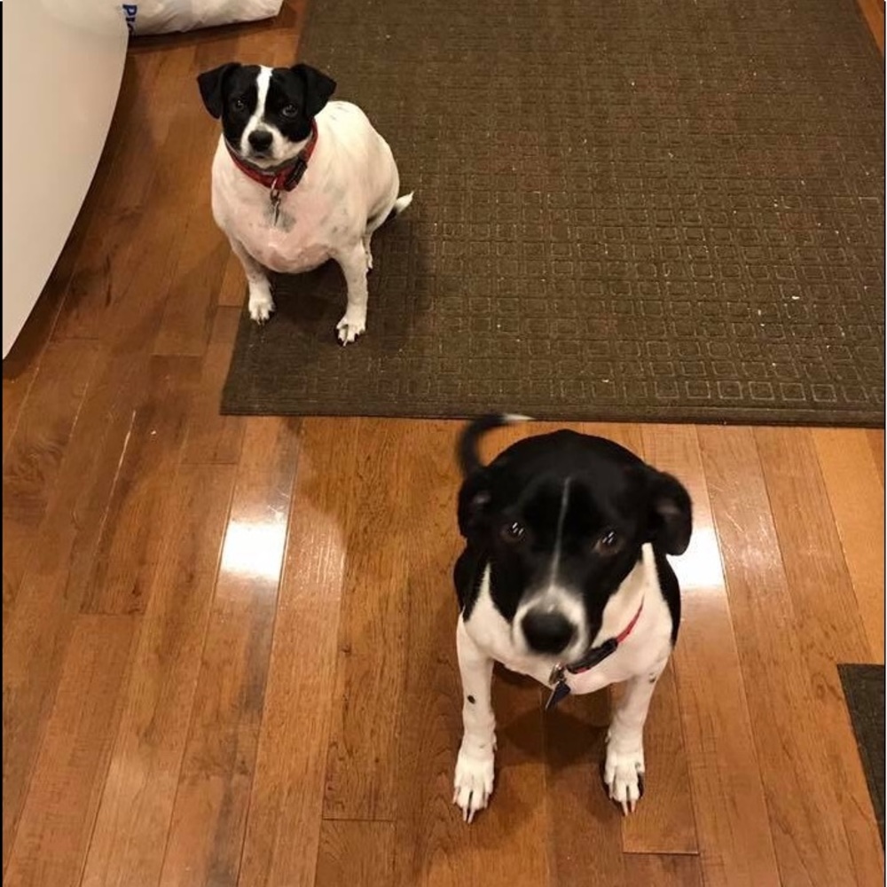 Meet your Posher, Ttony